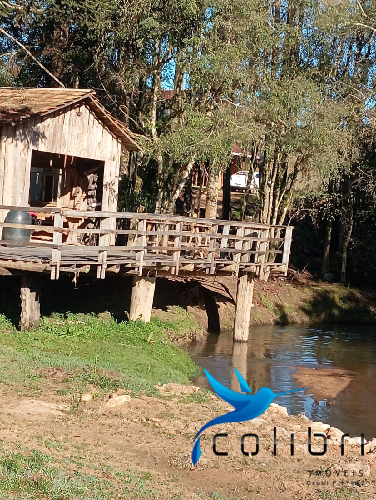 Fazenda à venda com 2 quartos, 5300m² - Foto 8