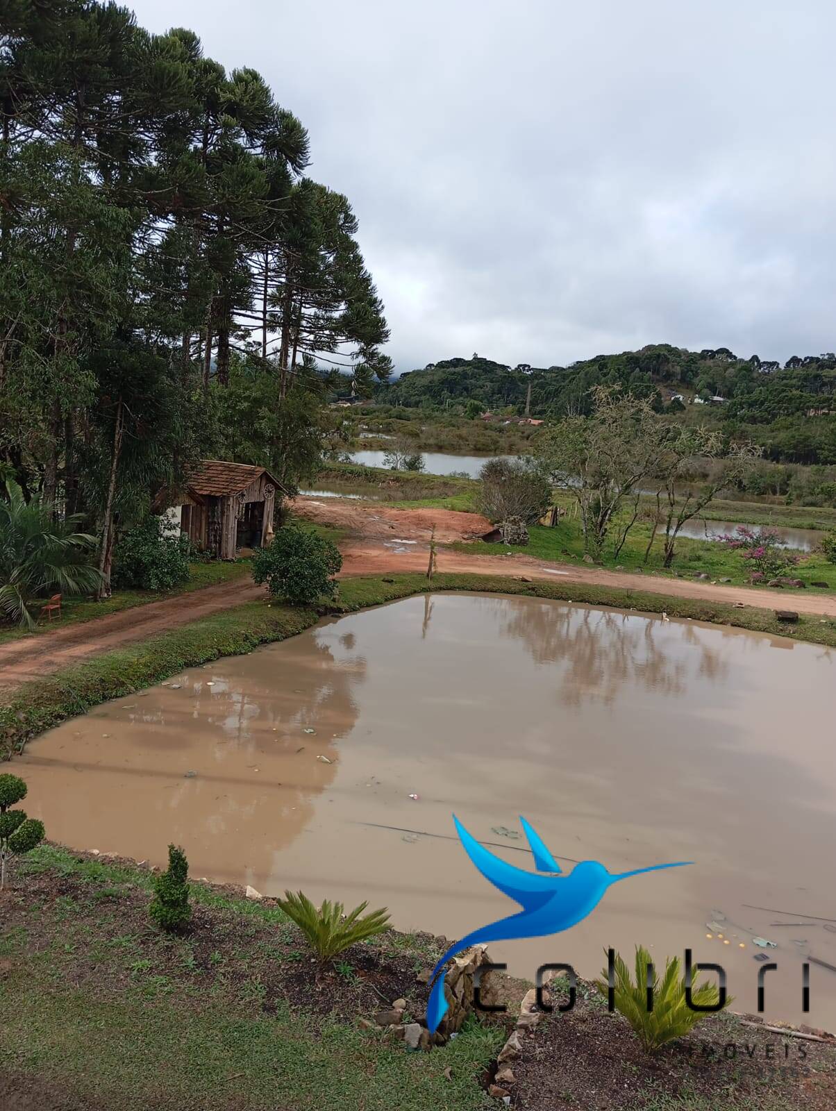 Fazenda à venda com 2 quartos, 5300m² - Foto 6