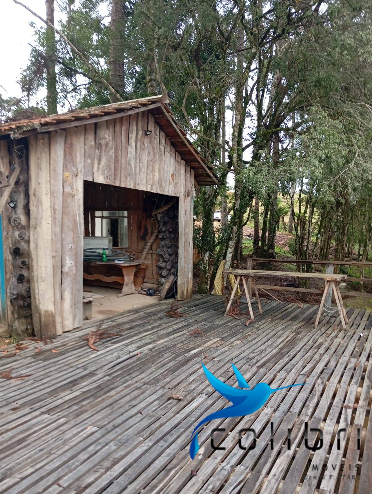 Fazenda à venda com 2 quartos, 5300m² - Foto 11