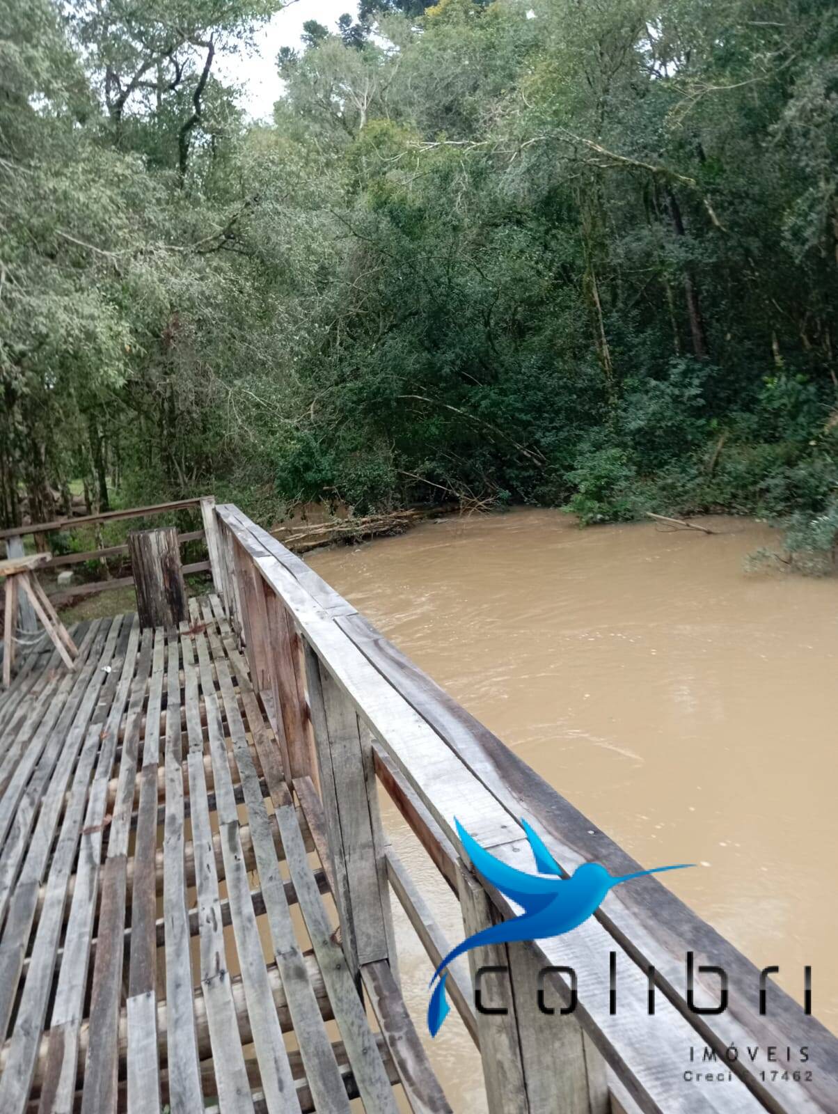 Fazenda à venda com 2 quartos, 5300m² - Foto 12